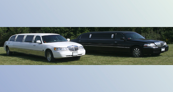 limousine_info